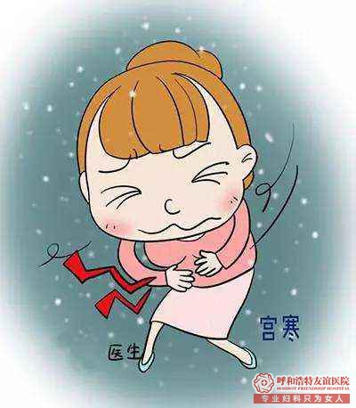 哪些器官的疾病属于妇科病呢?