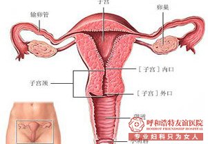 金华输卵管检查费用