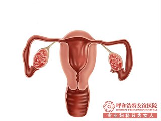 金华女性输卵管不通的危害有哪些