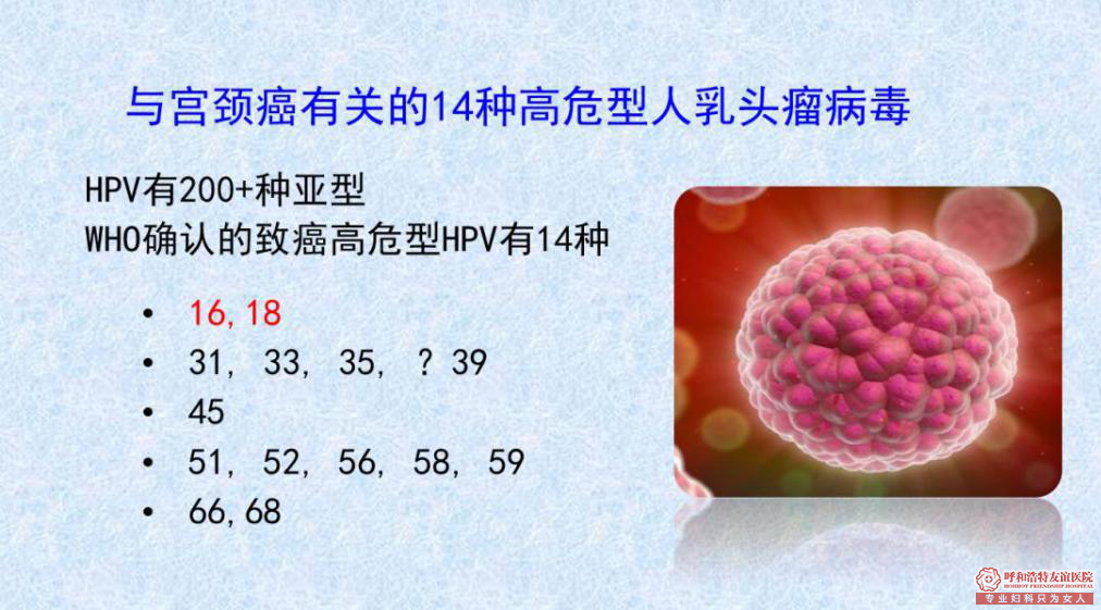 金华华山医院靠谱吗？没想到你是这种HPV（人类乳头瘤病毒）！